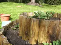 BILD2035.webp