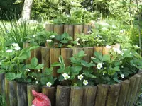 BILD2095.webp