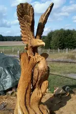 Adler2.webp