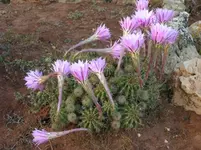 DSCN8223.webp