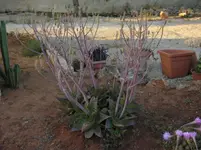 DSCN8224.webp