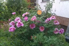 IMG-20130527-WA0003.webp