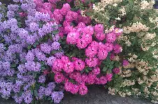 IMG-20130527-WA0007.webp