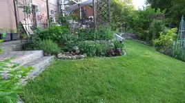 DSCF0002_2_1_1.webp
