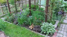 DSCF0006_6_1_1.webp
