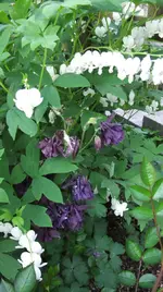 DSCF0012_r1_15_1_1.webp