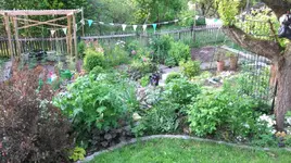 DSCF0014_18_1_1.webp