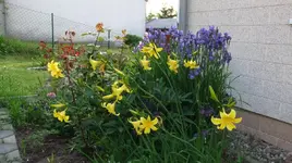 DSCF0016_20_1_1.webp