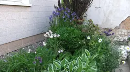 DSCF0017_21_1_1.webp