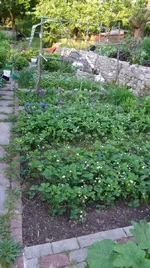 DSCF0007_r1_8_1_1.webp