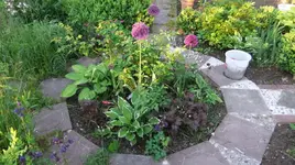 DSCF0009_11_1_1.webp
