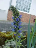 CIMG4920.webp