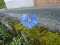 CIMG4917.webp