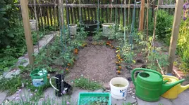 DSCF0011_13_1_1.webp