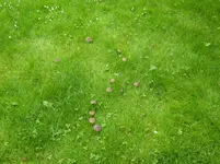 P1010303.webp