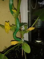 20130528_111513.webp