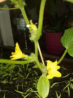 20130528_111522.webp