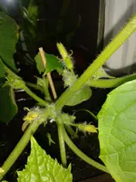 20130528_111544.webp