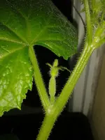 20130528_111600.webp