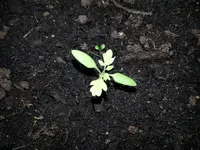 20130527_191355.webp