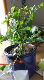 DSCF0019_r1_1_1.webp