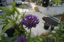 _DSC1625.webp