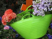 05 Lavendula.webp