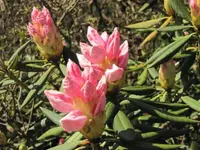 075.webp