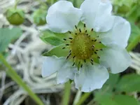CIMG3328.webp