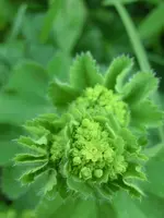 CIMG3327.webp