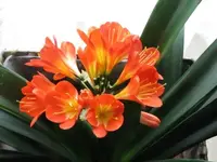 019.webp