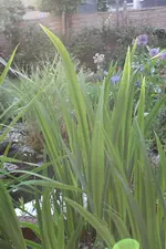 IMG_0379b.webp