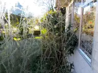 Copy of IMG_0175v.webp