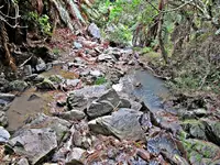 Morgenspaziergang v (6).webp