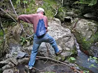 Morgenspaziergang v (4).webp