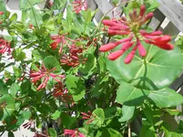 DSCN2084.webp