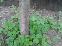 20130529_094702.webp