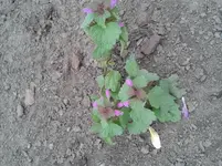 20130529_094909.webp