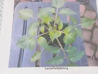 DSCF3963.webp