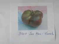 DSCF3964.webp