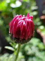 8.webp