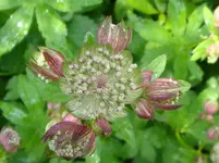 DSC03143.webp