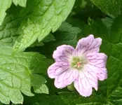 DSC03134.webp