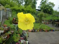 CIMG5112.webp