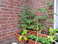 IMG_0117.webp