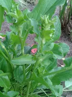 20130529_094802.webp