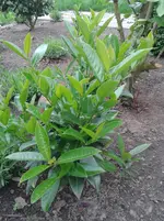 20130529_103059.webp