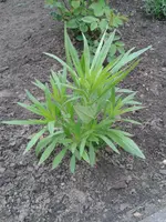 20130529_103108.webp