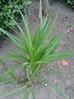 20130529_103122.webp