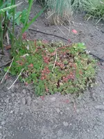 20130529_103204.webp